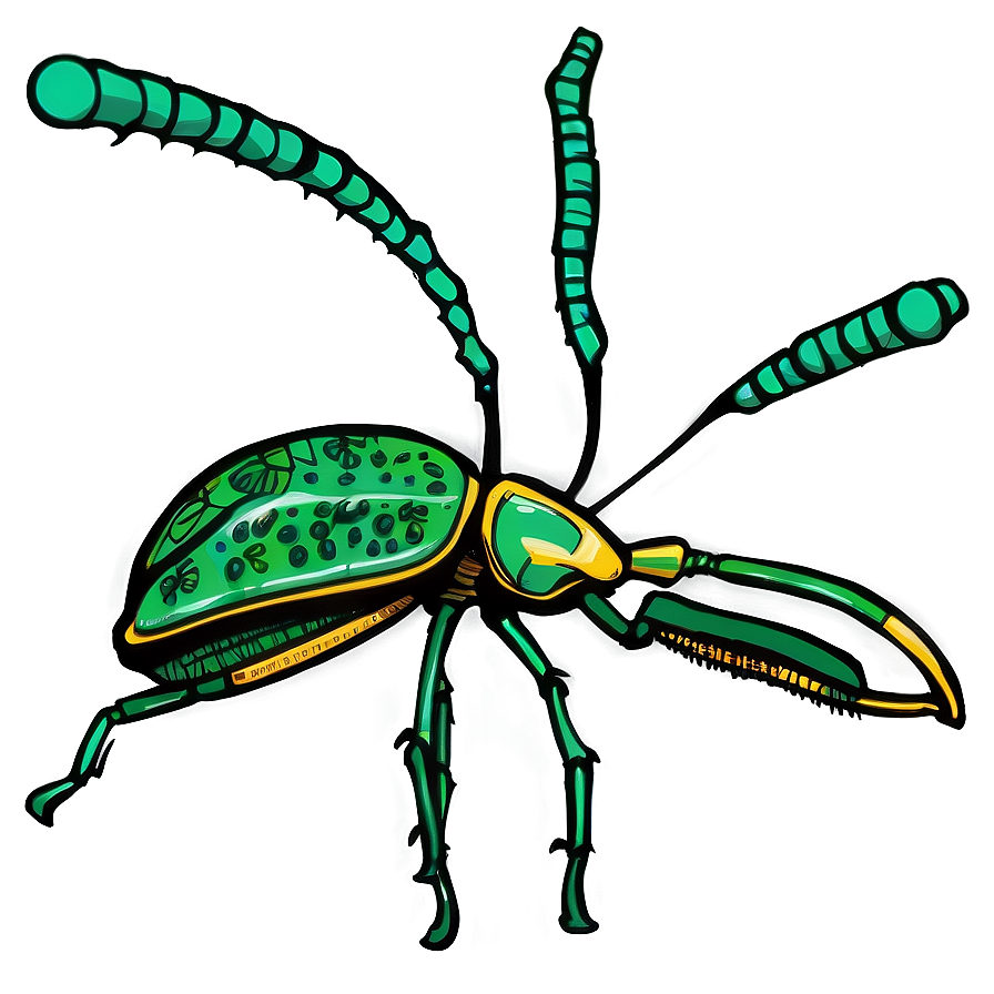 Weevil Png Images (100++)