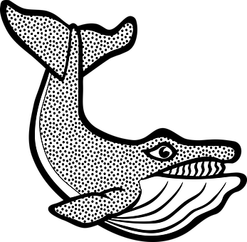 Stylized Whale Illustration PNG image