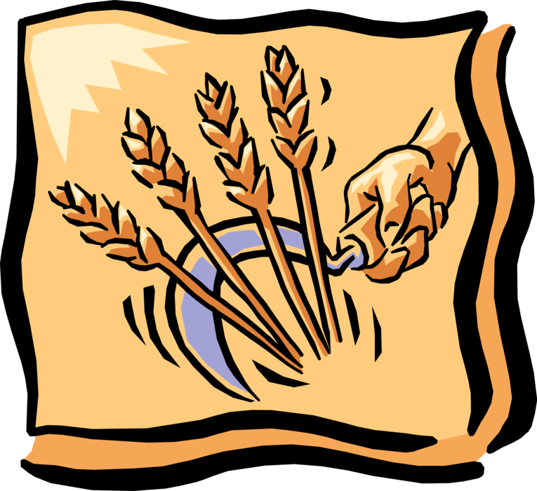 Stylized Wheat Sheaf Vector PNG image