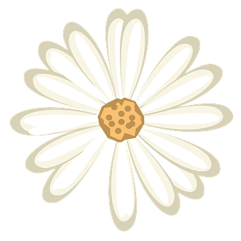 Stylized White Daisy Graphic PNG image