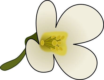 Stylized White Flower Illustration PNG image