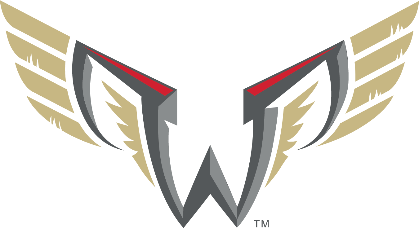 Stylized Wings Logo Design PNG image