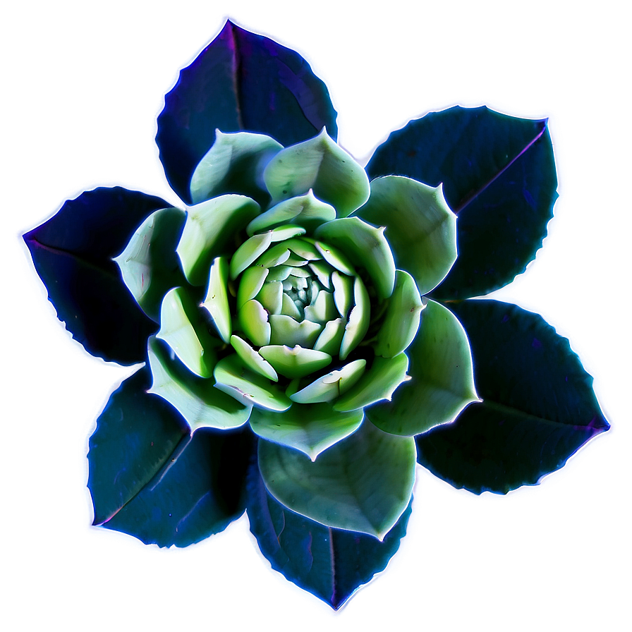 Succulent Flower Cricut Design Png 06282024 PNG image