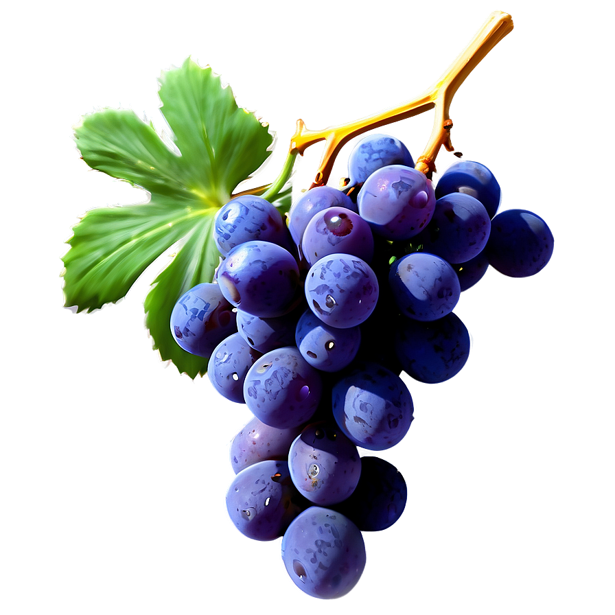 Succulent Grapes Png 26 PNG image