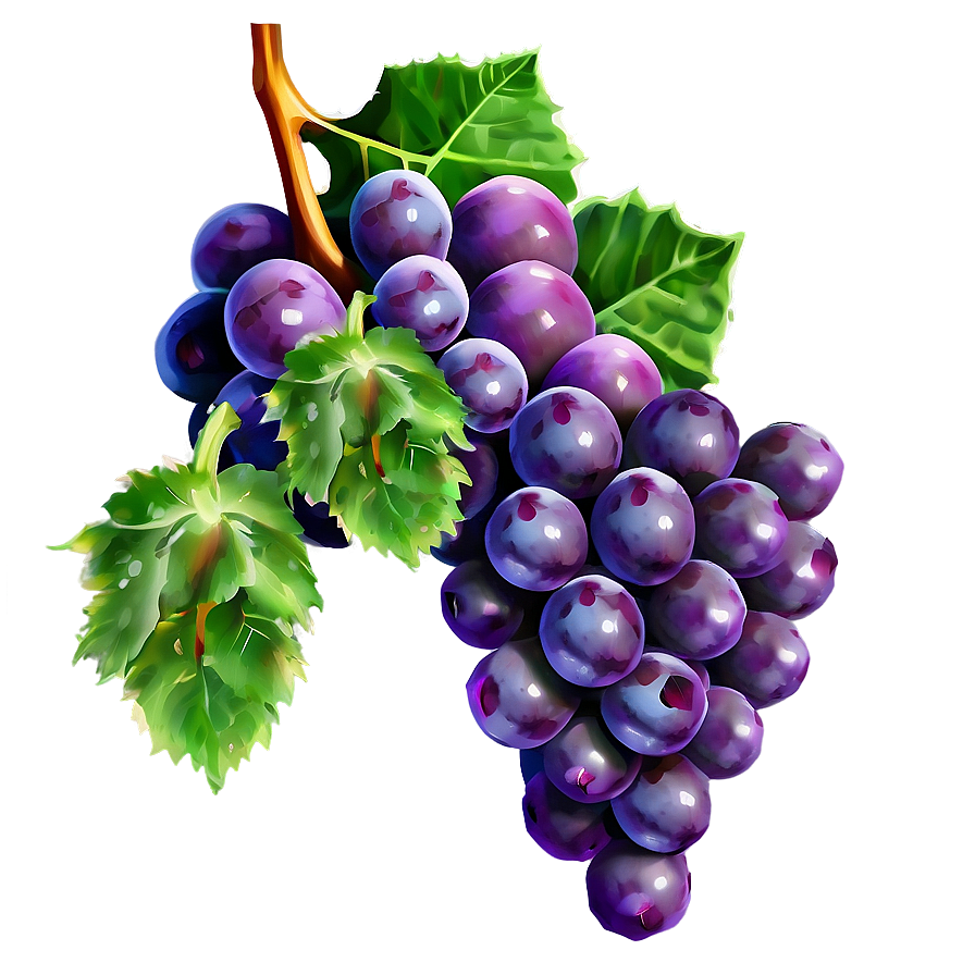 Succulent Grapes Png Nwp PNG image