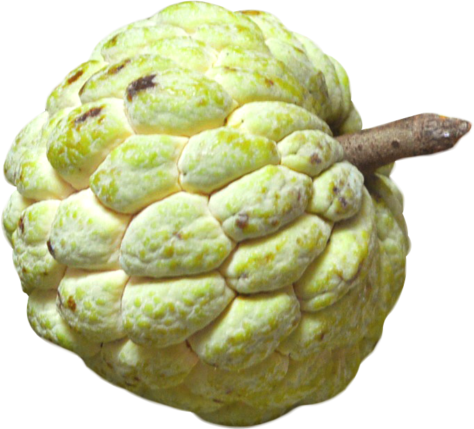 Sugar Apple Fruit Texture PNG image