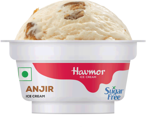 Sugar Free Anjir Ice Cream Cup Havmor PNG image