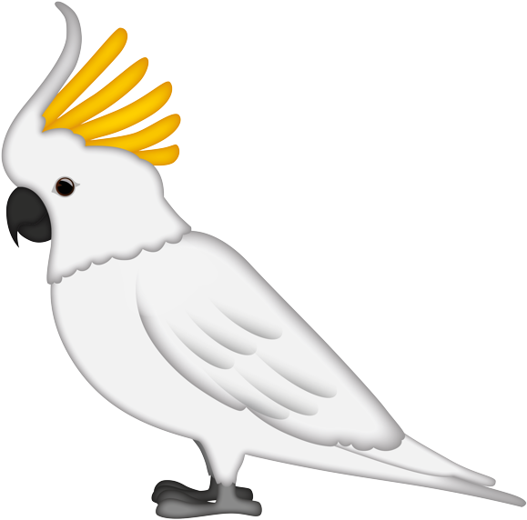 Sulphur Crested Cockatoo Illustration PNG image