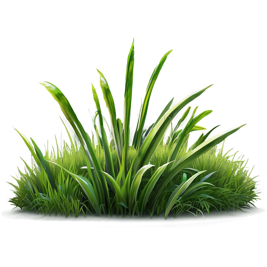 Summer Green Grass Png 94 PNG image