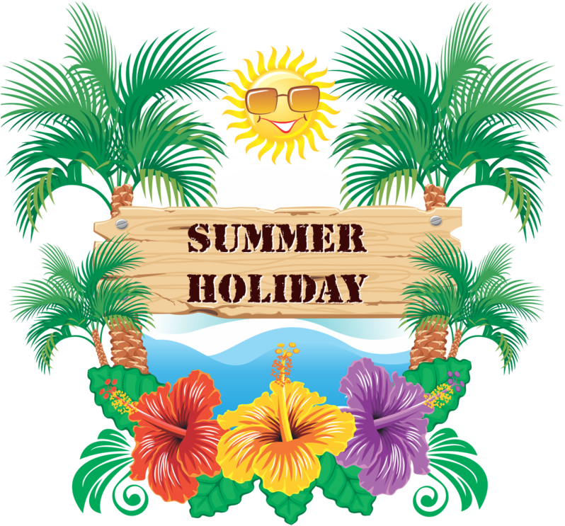 Summer Holiday Tropical Theme PNG image