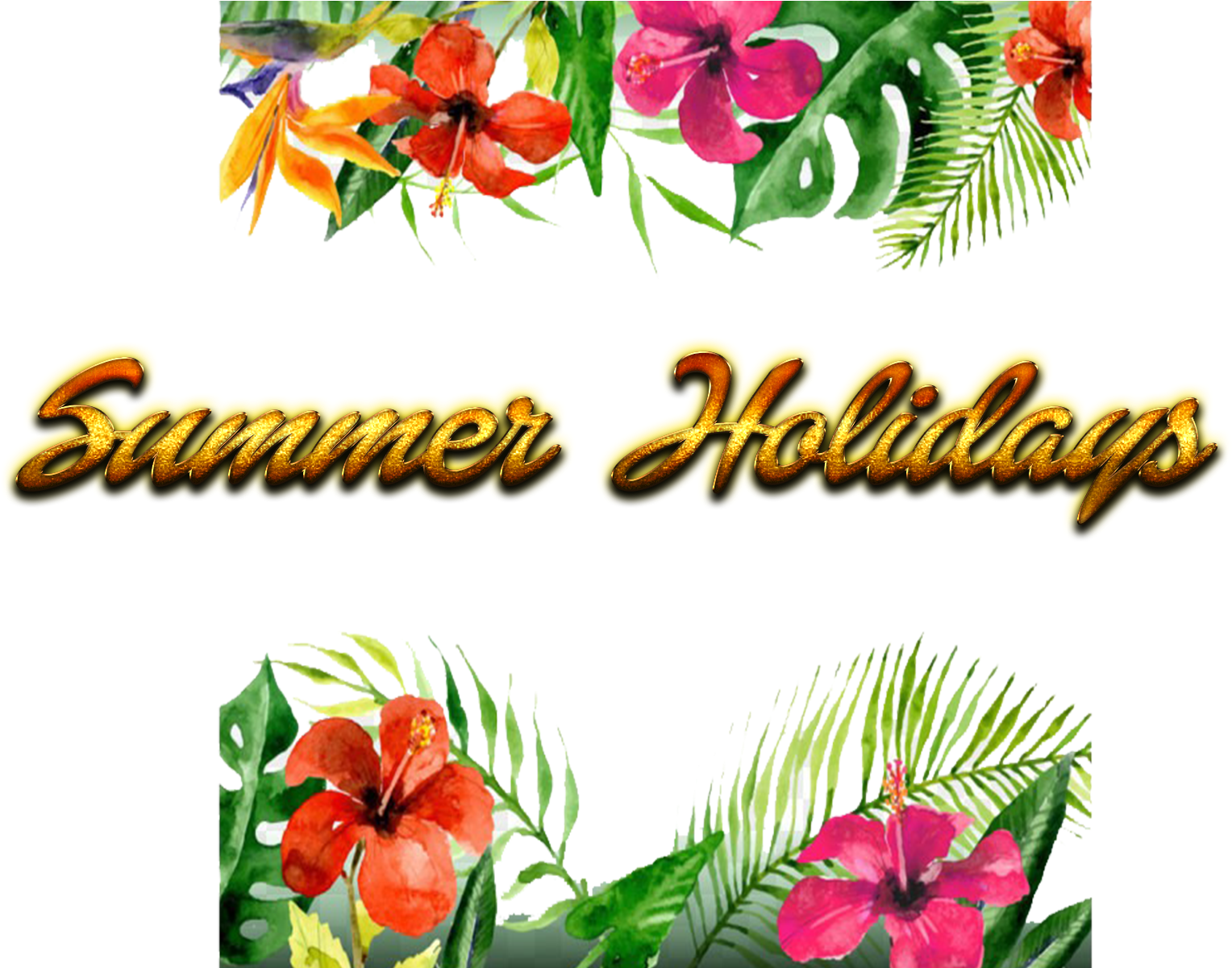 Summer Holidays Tropical Flowers PNG image