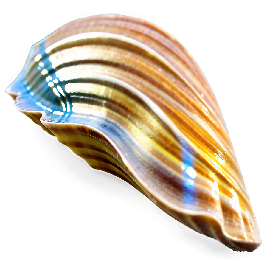 Summer Vibes Seashell Png 06252024 PNG image