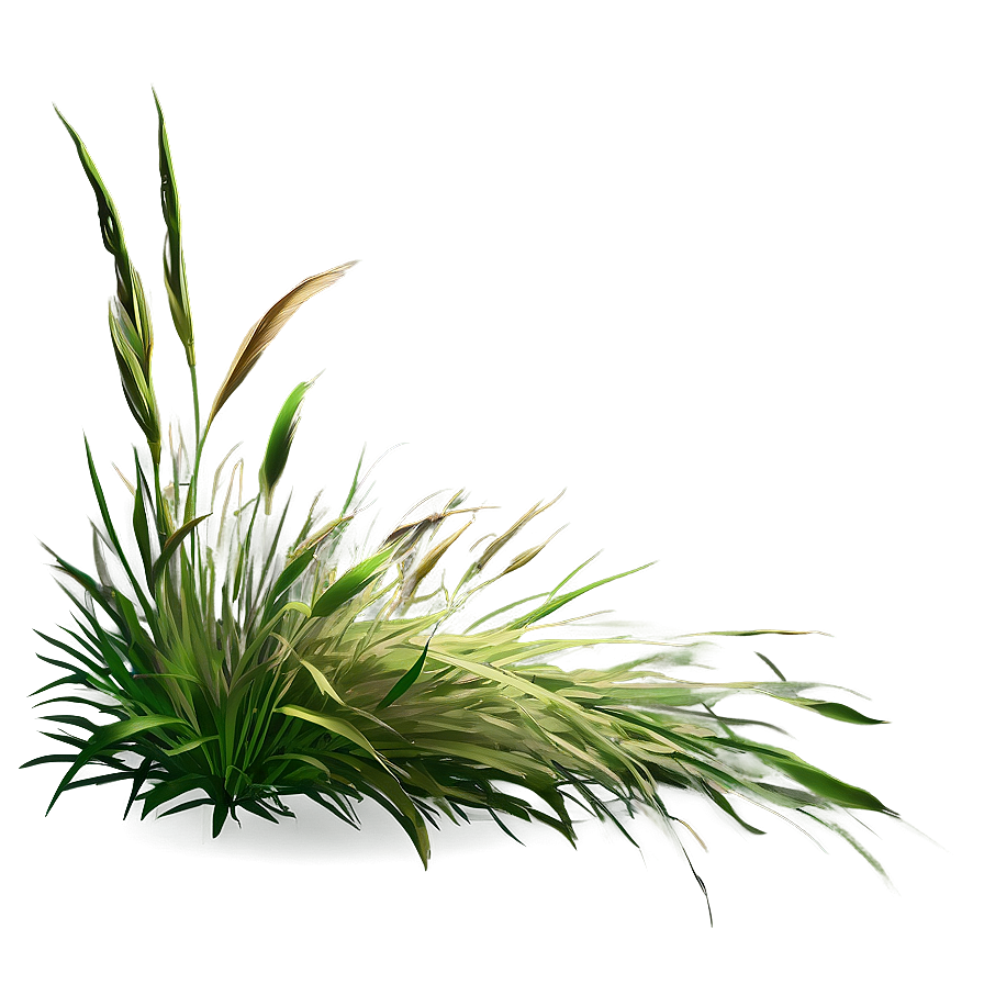 Summer Wild Grass Png Rrp72 PNG image