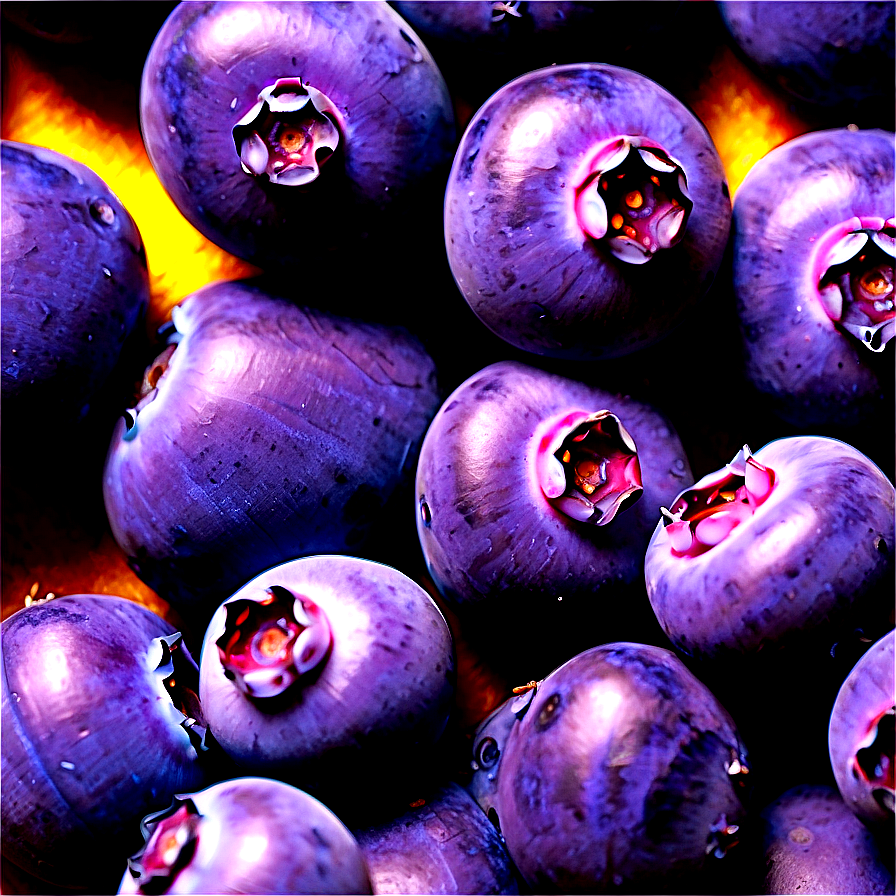 Sun-kissed Blueberries Png 22 PNG image