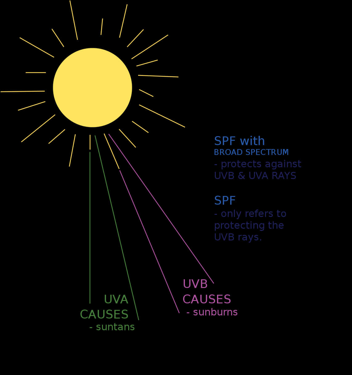 Sun Protection Factors Explained PNG image