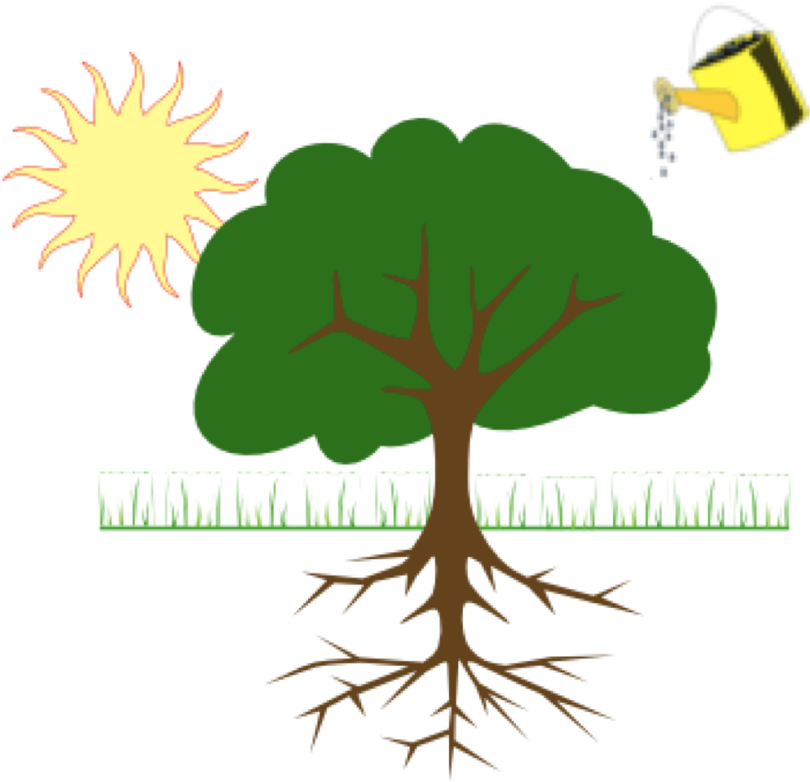 Sun Tree Watering Can Illustration PNG image