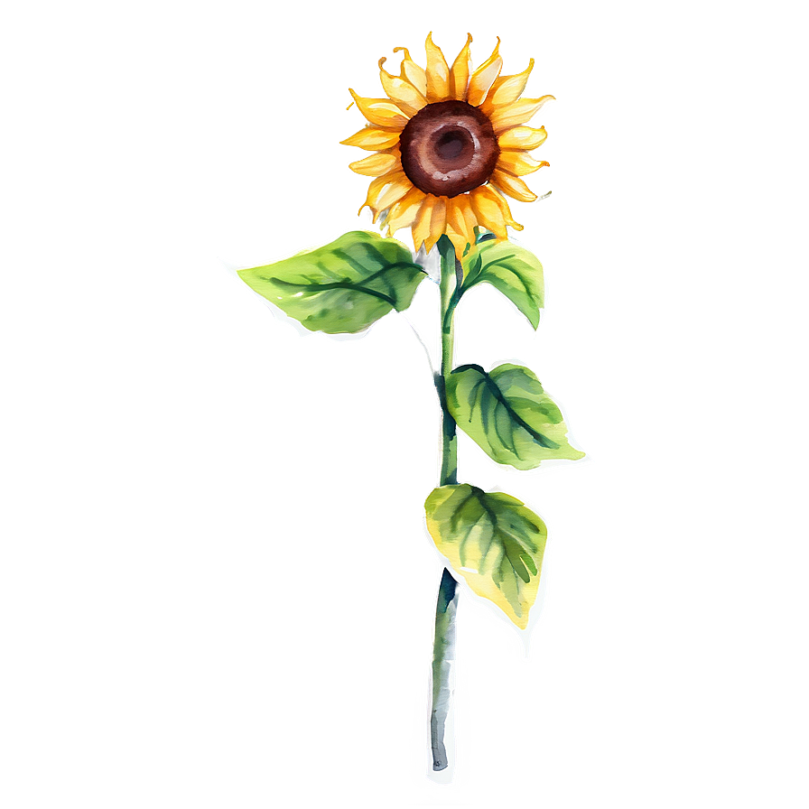 Sunflower Beauty Watercolor Art Png 06272024 PNG image