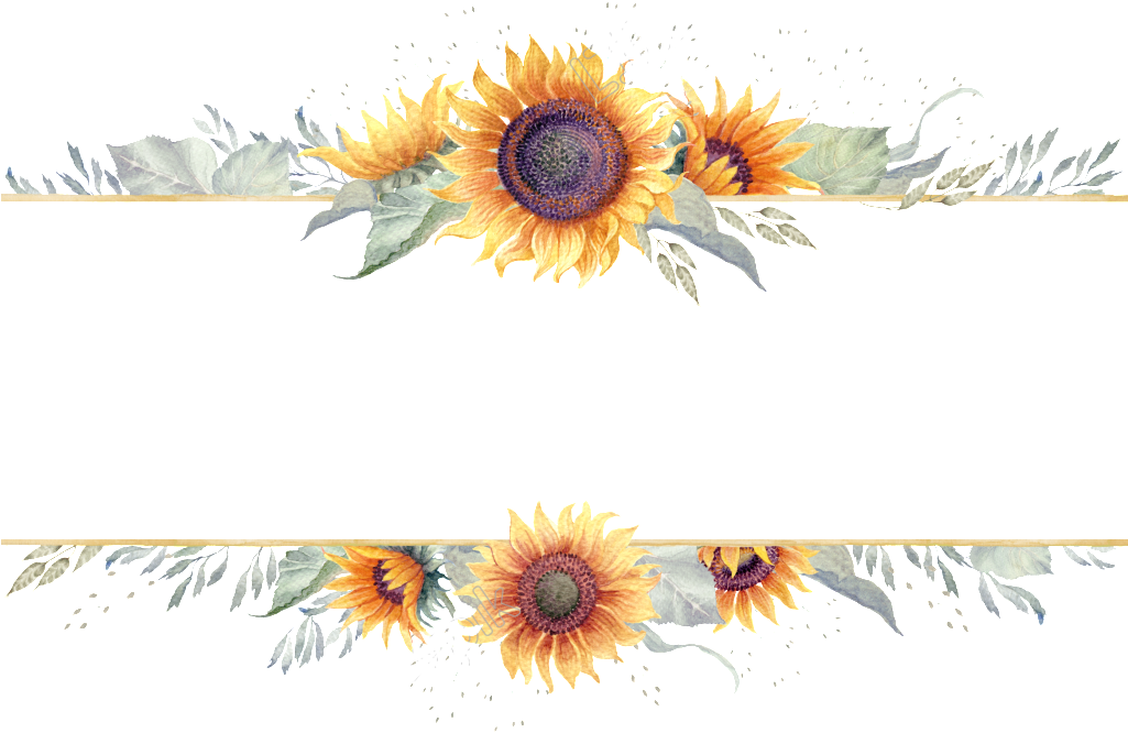 Sunflower_ Border_ Design PNG image