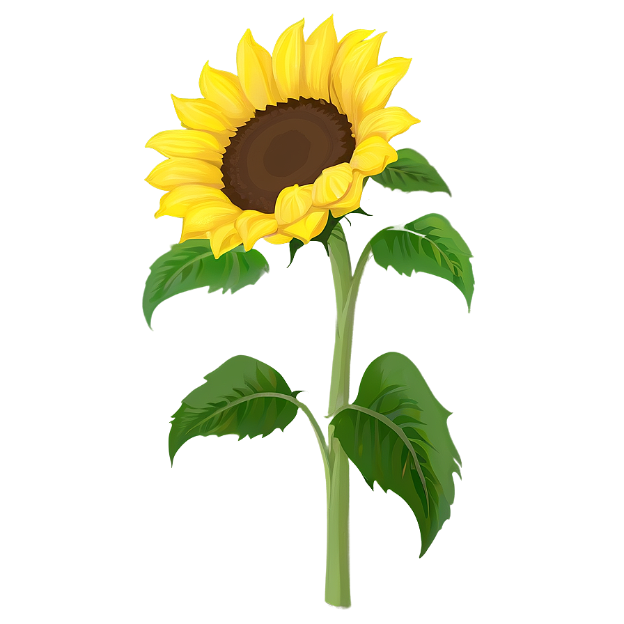 Sunflower Clipart Png Not1 PNG image