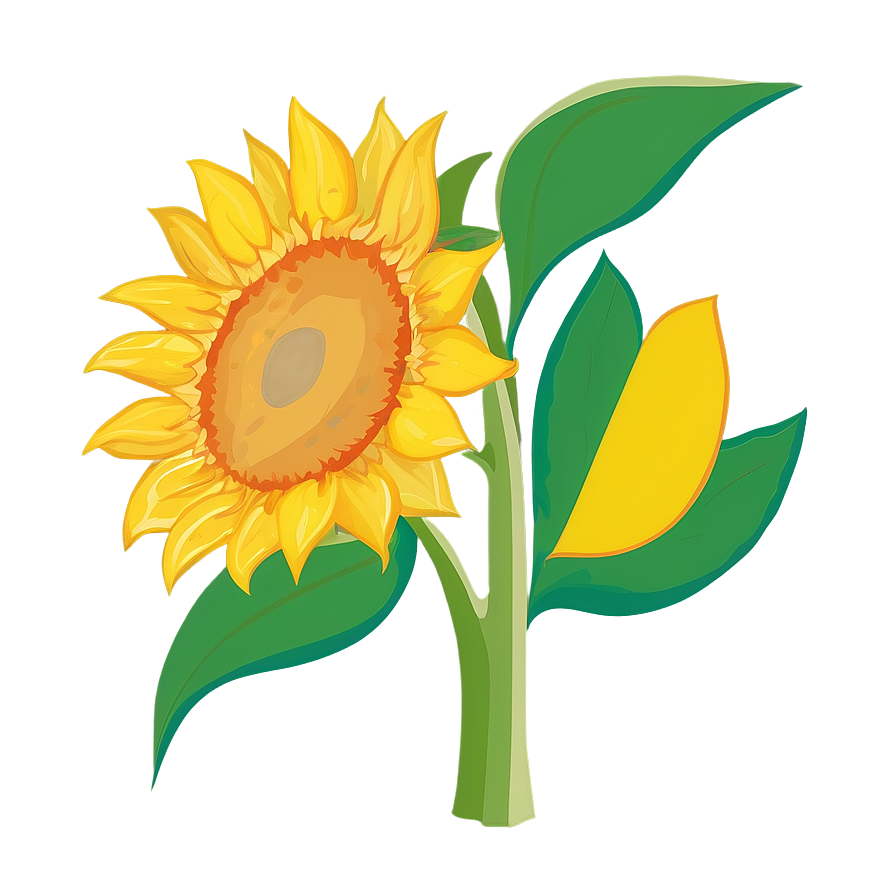 Sunflower Outline Transparent Png Jcv PNG image