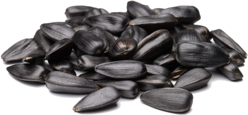 Sunflower Seeds Pile Isolated.png PNG image