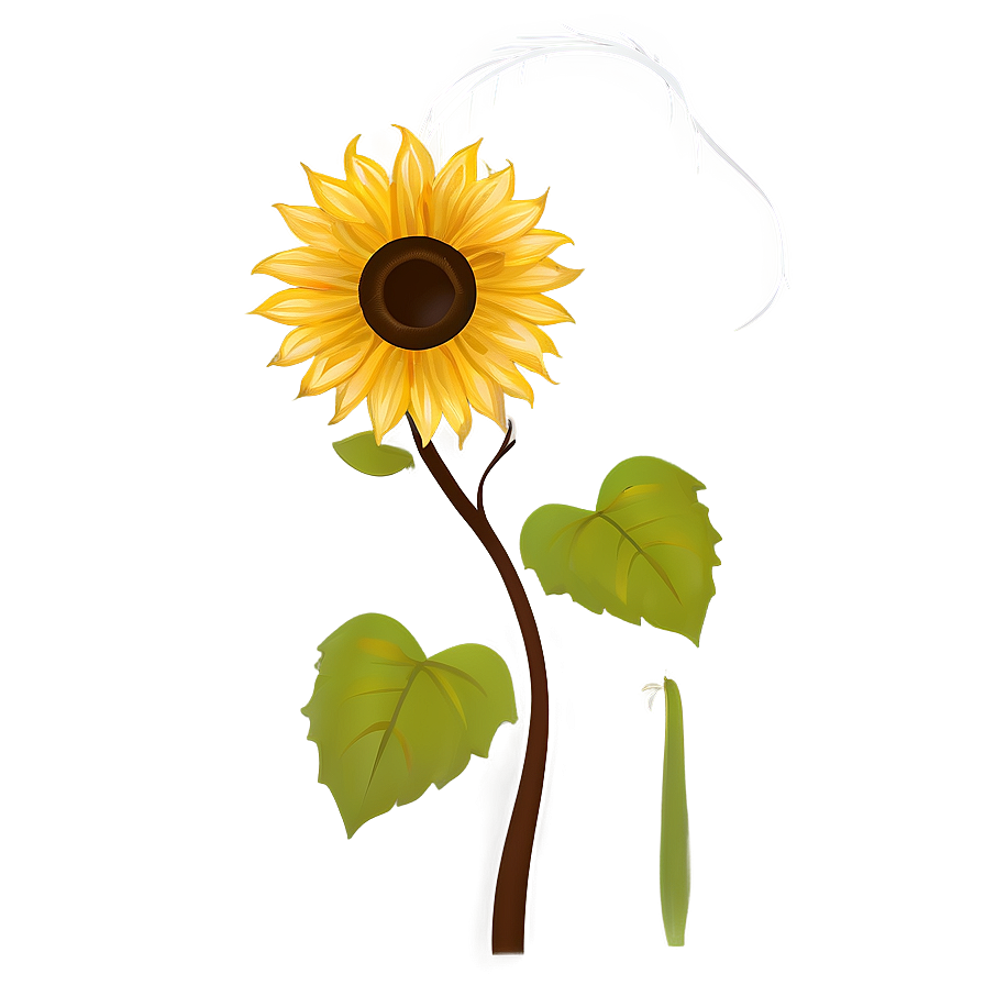 Sunflower Silhouette Transparent Png Ffs40 PNG image