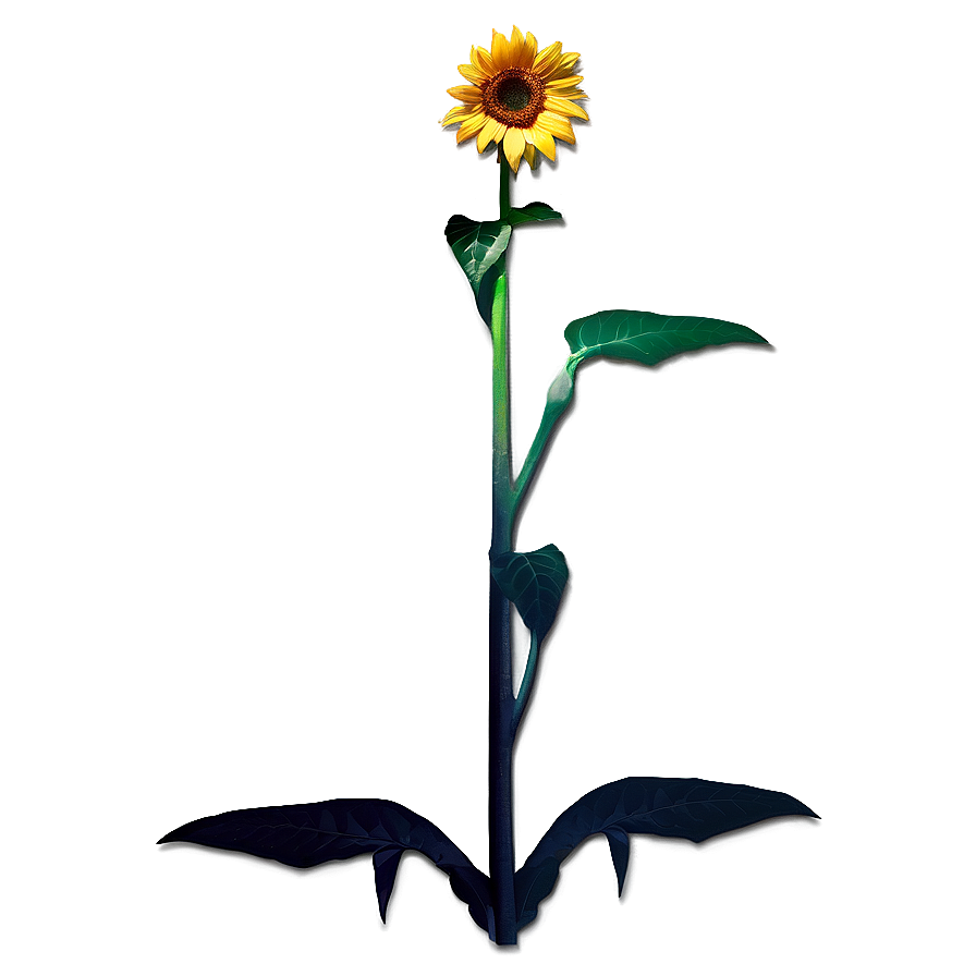 Sunflower Transparent Sign Png Skd64 PNG image