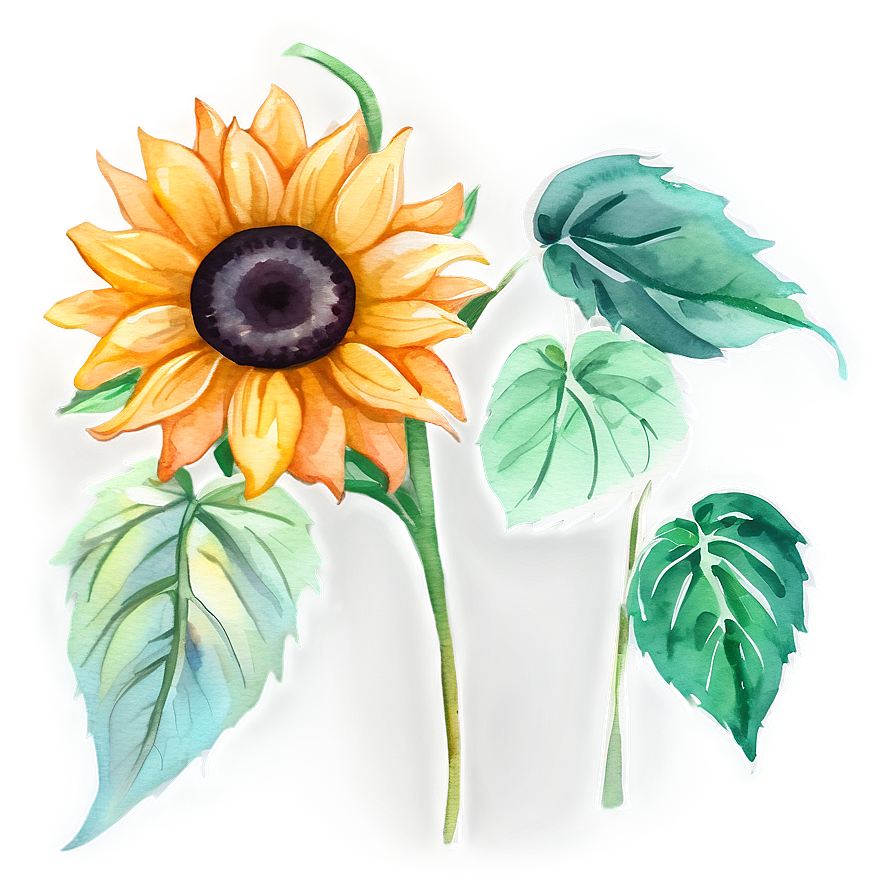 Sunflower Watercolor Bookmark Design Png 99 PNG image