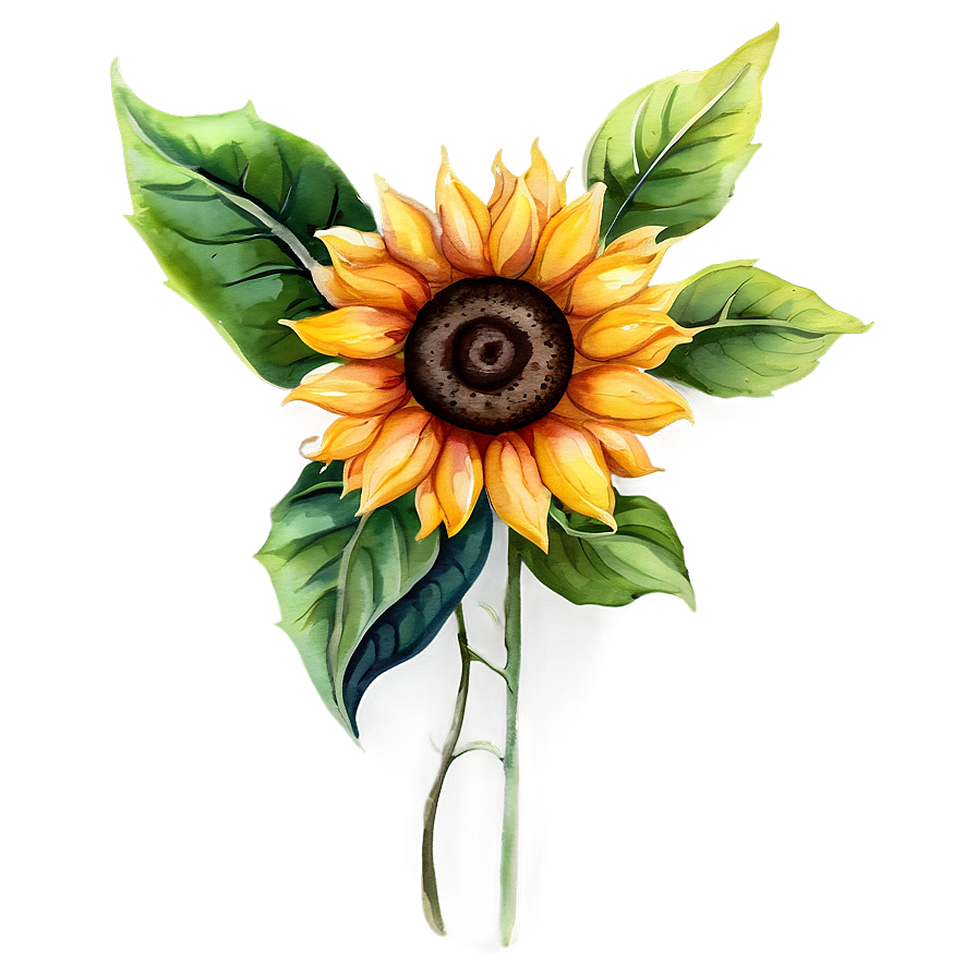 Sunflower Watercolor Decorative Element Png Oud PNG image