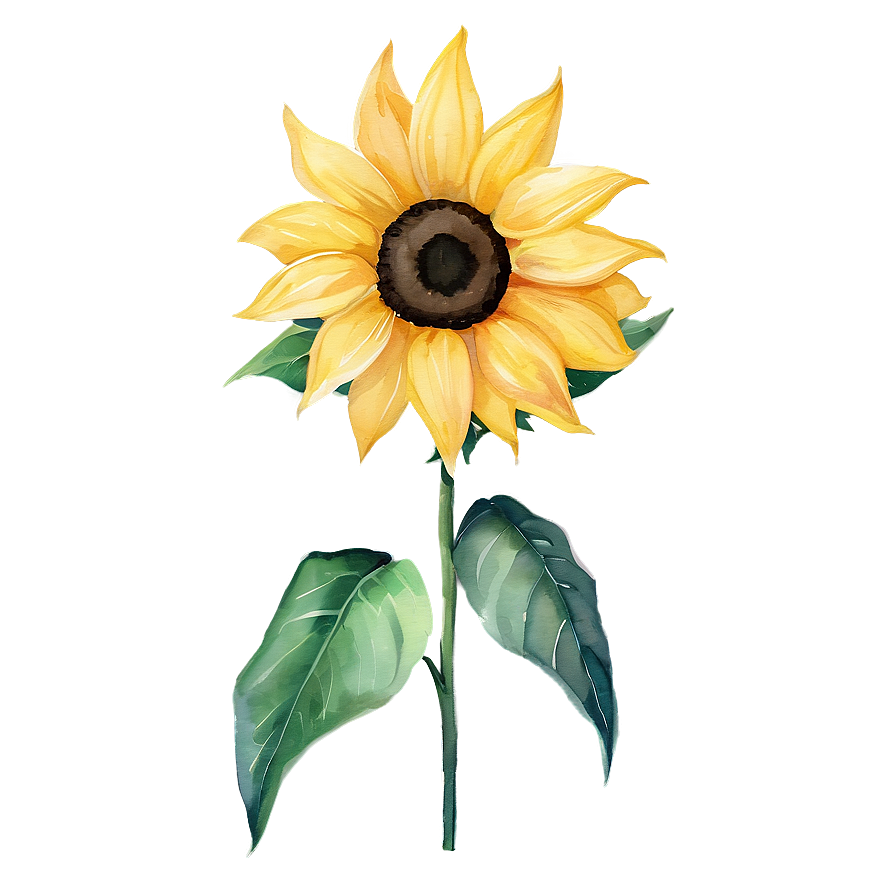 Sunflower Watercolor Fabric Pattern Png 94 PNG image