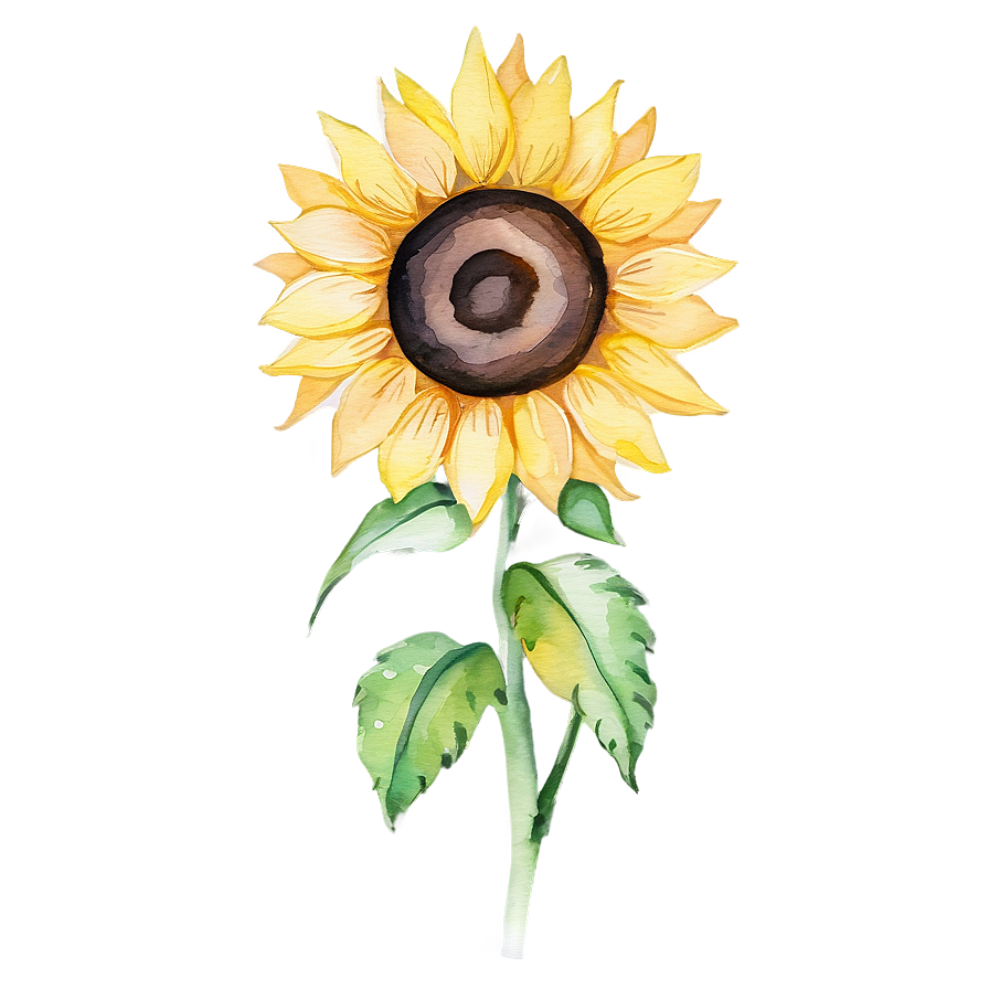 Sunflower Watercolor Greeting Card Design Png Adc59 PNG image