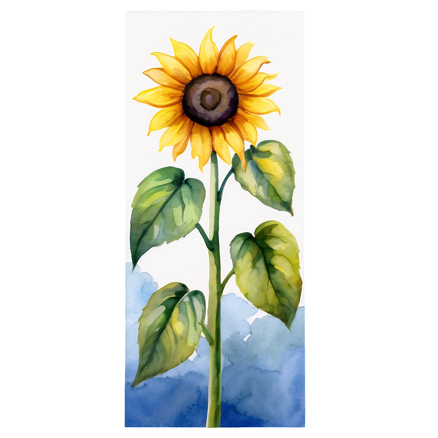 Sunflower Watercolor On Canvas Png 55 PNG image