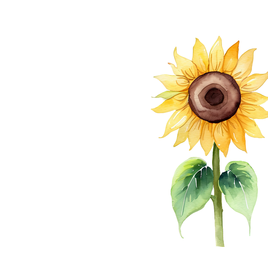 Sunflower Watercolor Phone Wallpaper Png Xht PNG image