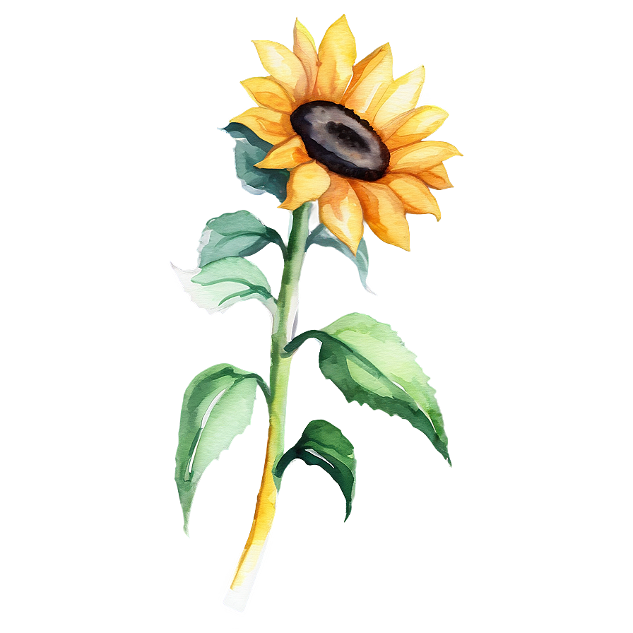 Sunflower Watercolor Planner Decoration Png Oto PNG image