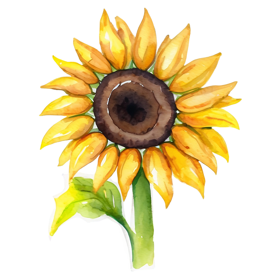 Sunflower Watercolor Profile Picture Png 06272024 PNG image