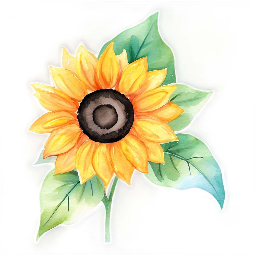 Sunflower Watercolor Stationery Design Png 28 PNG image