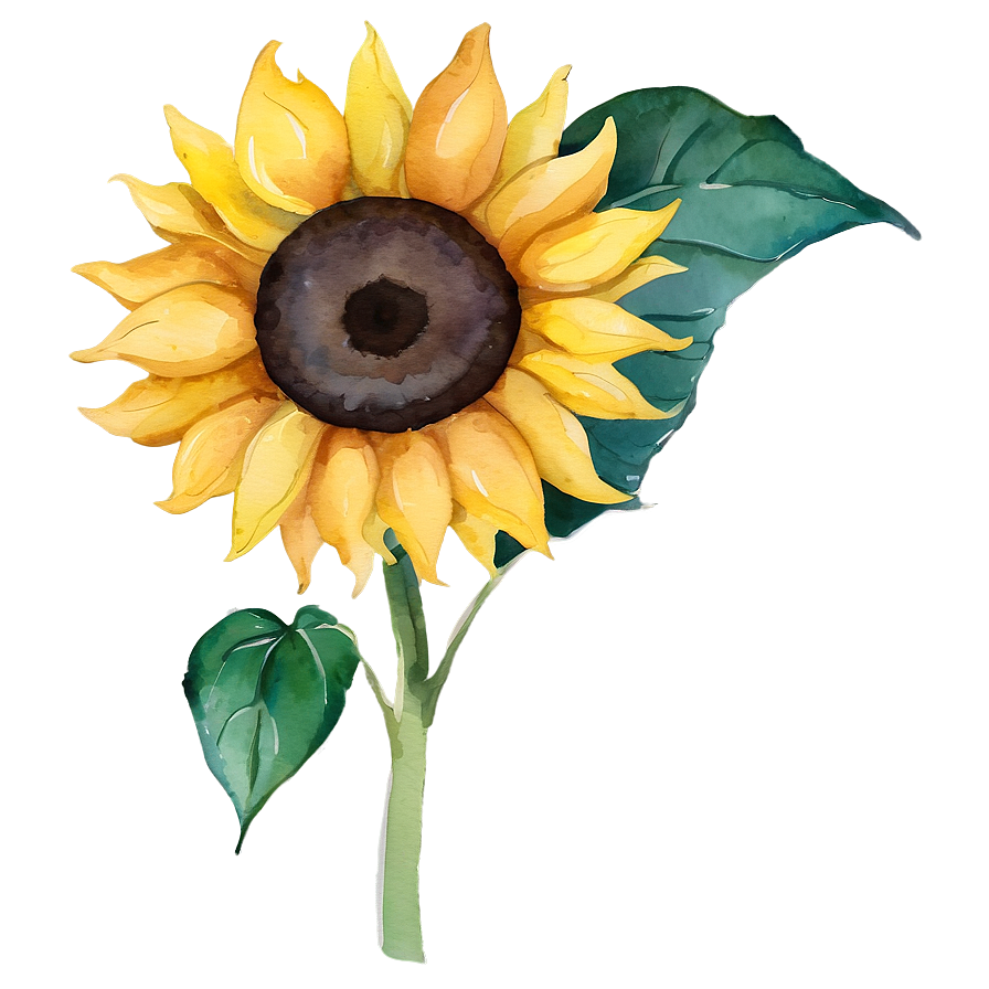 Sunflower Watercolor Summer Theme Png 40 PNG image