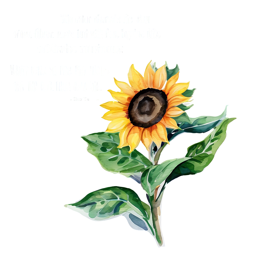 Sunflower Watercolor With Quotes Png Bys PNG image