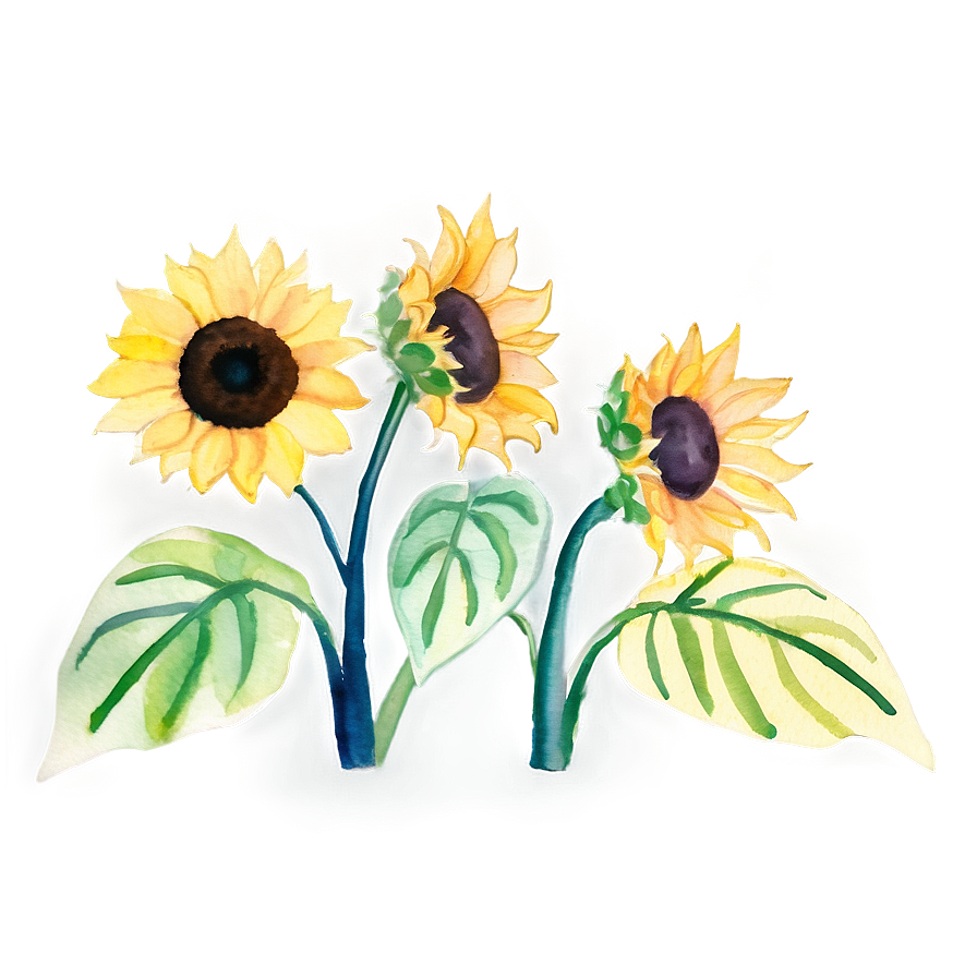 Sunflower Watercolor Youtube Thumbnail Png 06272024 PNG image