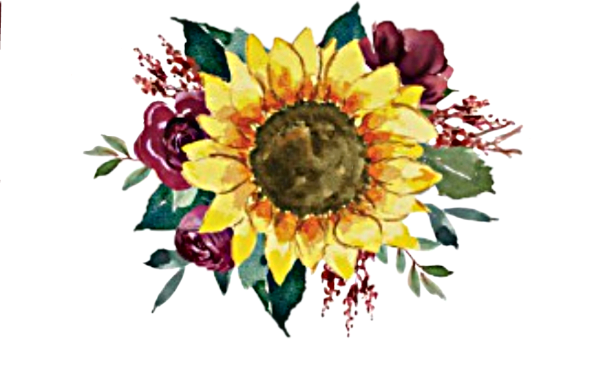 Sunflowerand Roses Artwork PNG image