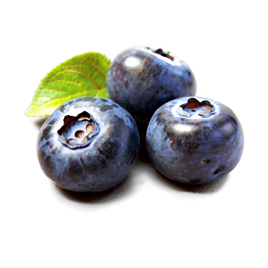 Sunlit Blueberry Png Iam29 PNG image