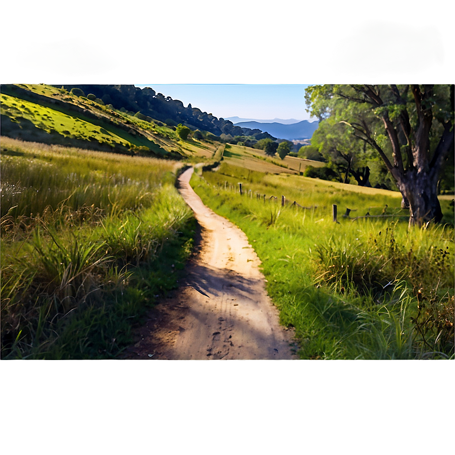 Sunlit Countryside Path Png Mwl11 PNG image