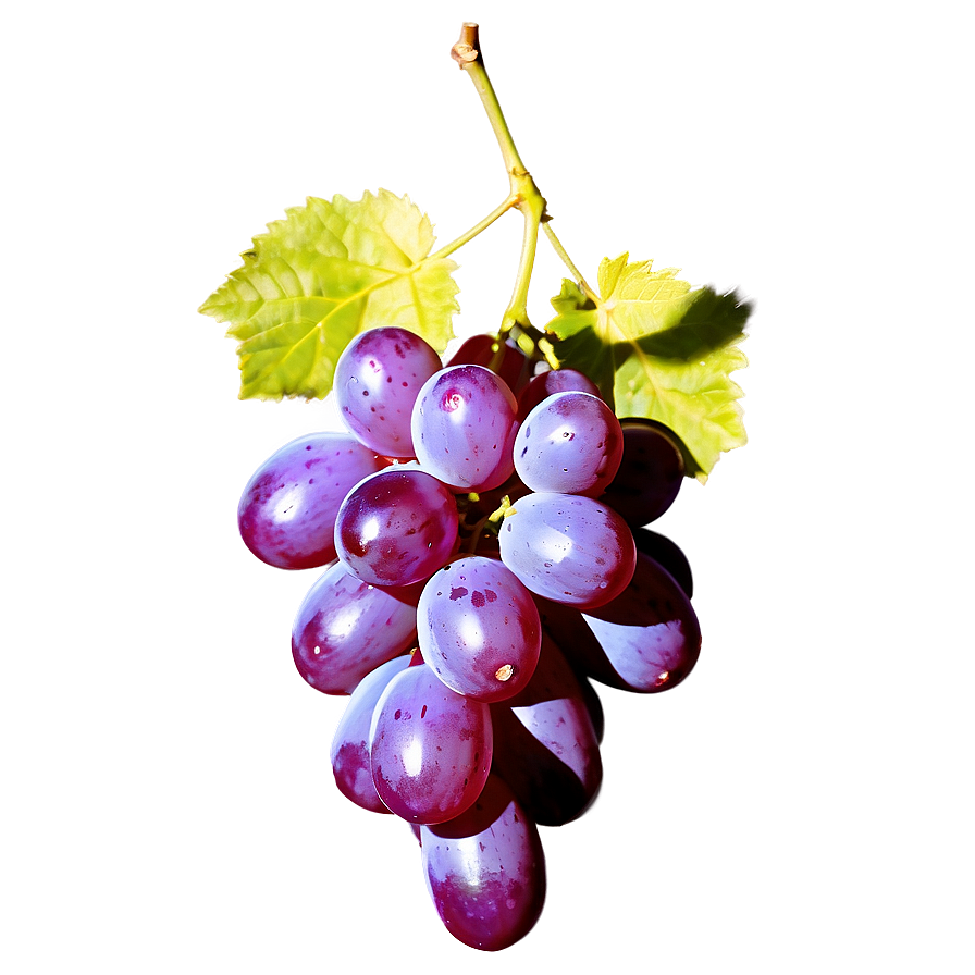 Sunlit Grape Image Png 06292024 PNG image