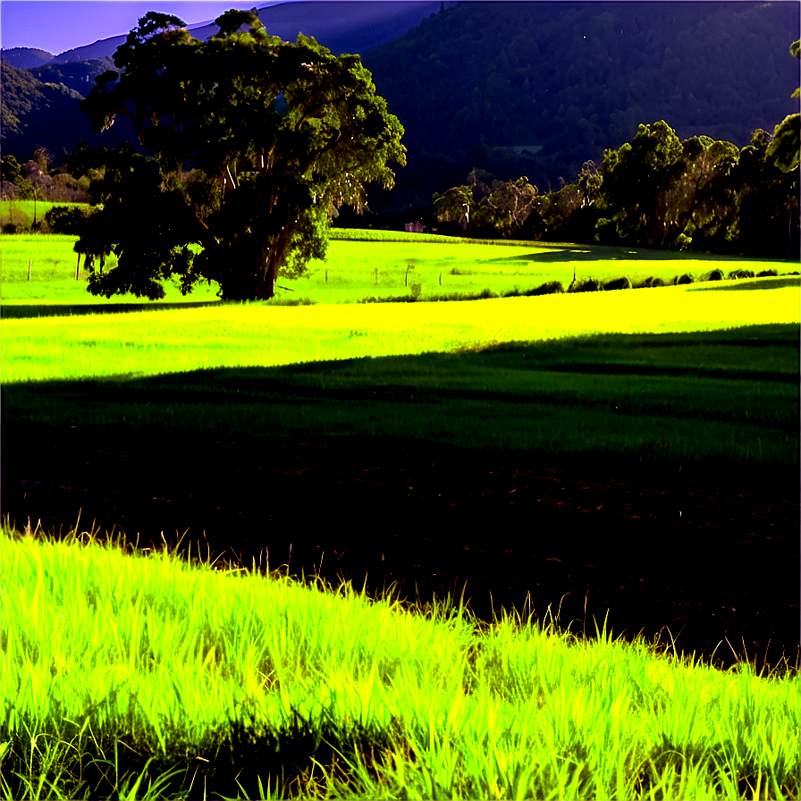 Sunny Countryside View Png Ito81 PNG image