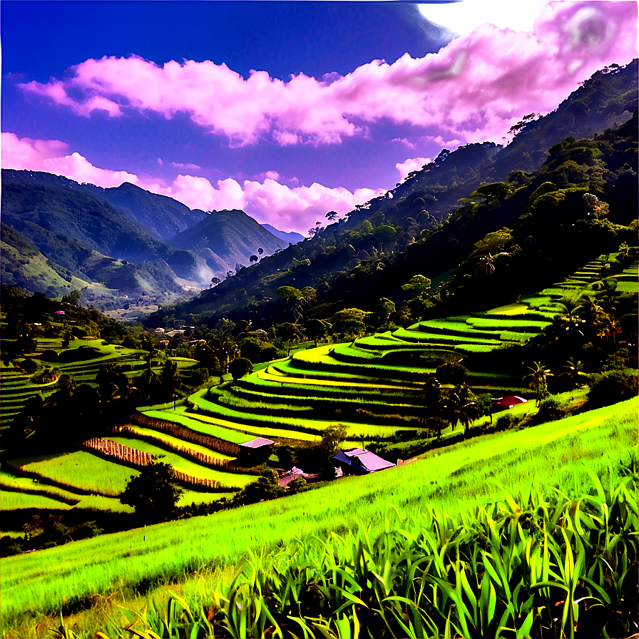 Sunny Countryside View Png Typ59 PNG image