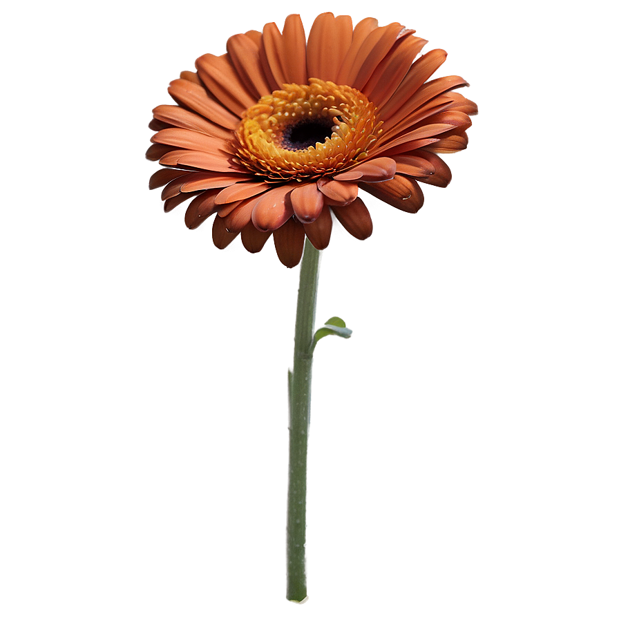 Sunny Orange Gerbera Png Vdv54 PNG image