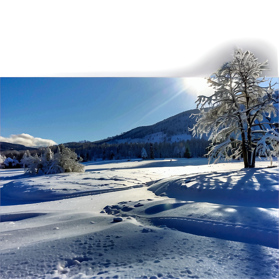 Sunny Winter Landscape Png Ljf PNG image