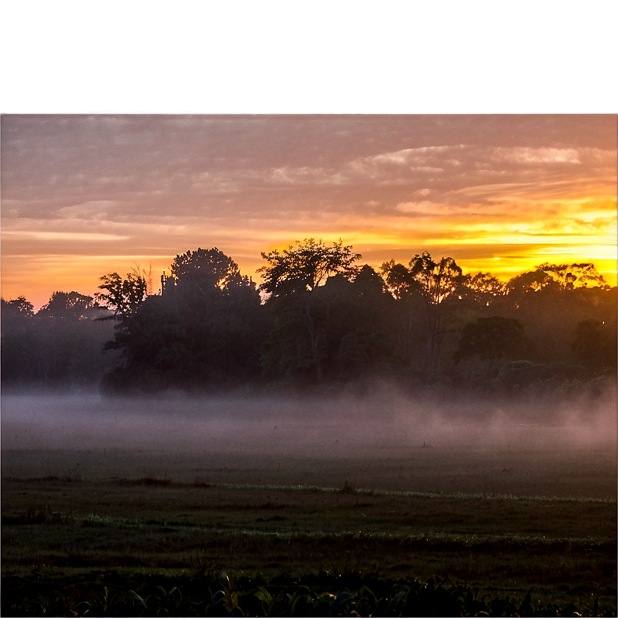 Sunset Fog Png 50 PNG image