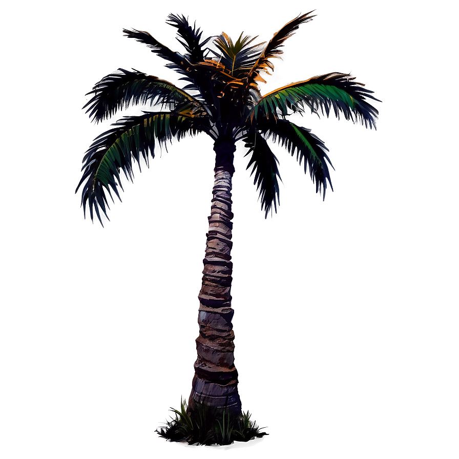 Sunset Palm Tree Png 94 PNG image