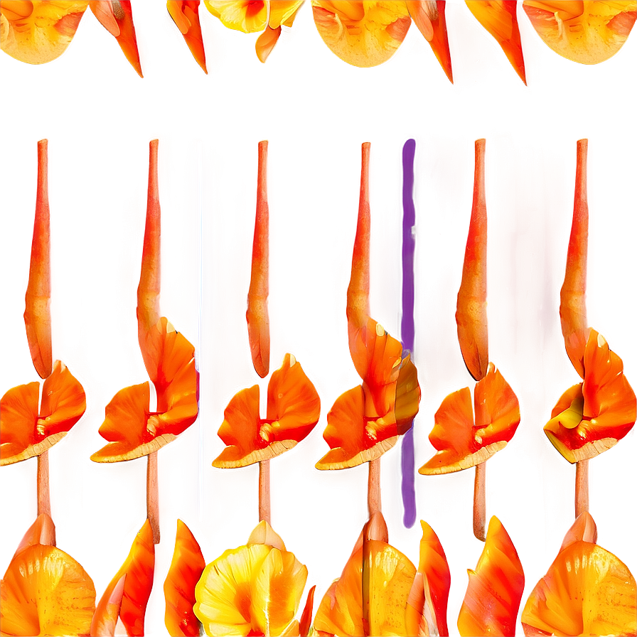 Sunshine Orange Petal Png Mdc55 PNG image